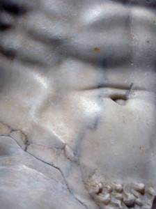 Torso